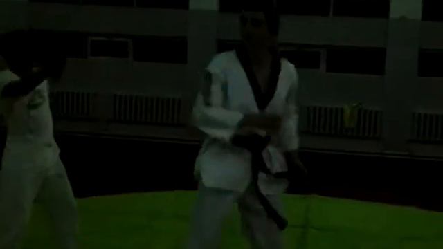 Taekwondo смотреть онлайн