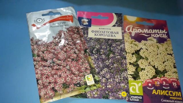 Нарядные клумбы. смотреть онлайн