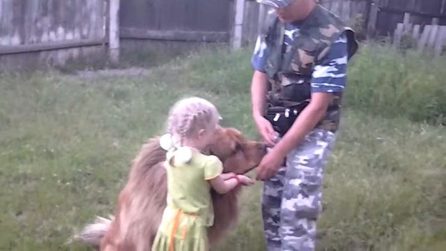 Тибетский мастиф. Приучение собаки к ребенку. смотреть онлайн