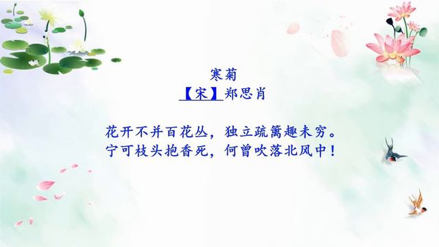 咏物的诗12 【 咏鹅 骆宾王 】+ 【 寒菊 郑思肖 】+ 【 海棠 苏轼 】 儿童国学唱诵 宝宝巴士 смотреть онлайн