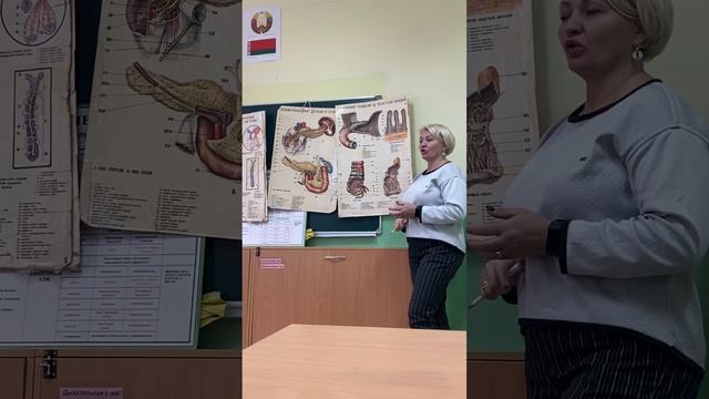 @анатомия внутренних органов смотреть онлайн