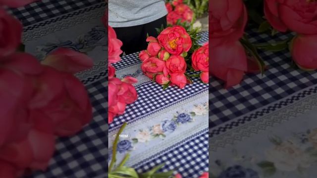 Угадайте, где пион Корал Шарм, а где пион Корал Сансет? смотреть онлайн