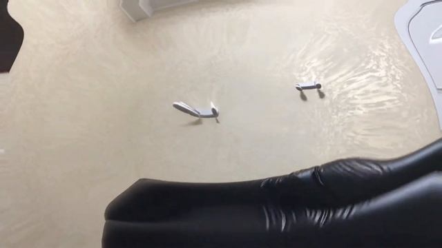 Каратист в жопе глист часть 2 смотреть онлайн