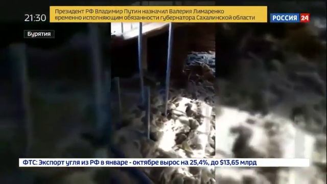 По письму депутата Госдумы возбудили уголовное дело на Минстрой смотреть онлайн