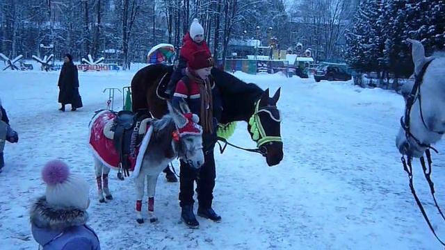 Животные Ослик и Лошадка! смотреть онлайн