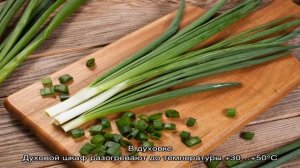 Пошаговые рекомендации: как высушить зеленый лук на зиму в домашних условиях