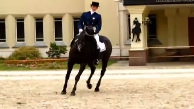 Черный Ангел.avi смотреть онлайн