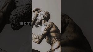 Как реагировать на оскорбления? #стоицизм #философия #философиястоика