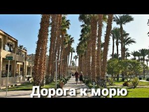 Где же море? Вторая линия Альбатрос Аква Парк Резорт 4*Хургада.