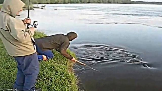 http://bogana-fish.ru/ рыбалка на сома смотреть онлайн