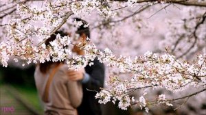 190. Владимир  Ждамиров - Весна. А ТЫ С ДРУГИМИ НЕ ЦЕЛУЙСЯ!