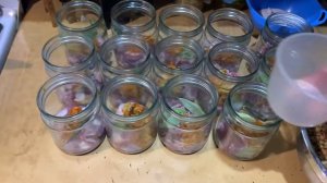 ЧЕЧЕВИЦА С КУРИНЫМИ ЖЕЛУДКАМИ В АВТОКЛАВЕ. РЕЦЕПТ ДЛЯ  АВТОКЛАВА.