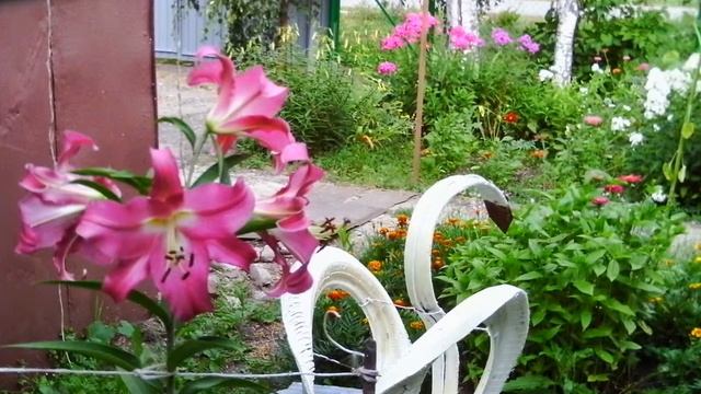 Шикарные лилии. смотреть онлайн