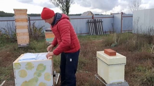 Сравнение температуры над рамками в улье ППС и деревянном улье смотреть онлайн