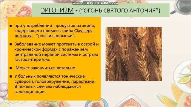 Пищевые отравления и их профилактика смотреть онлайн