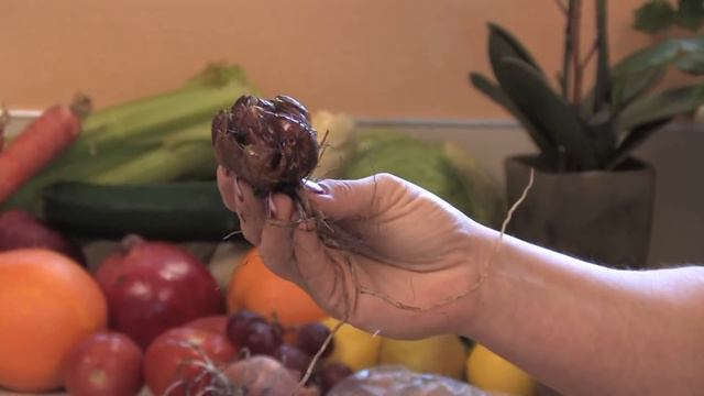 Garden Maintenance Tips : How to Refrigerate Bulbs смотреть онлайн