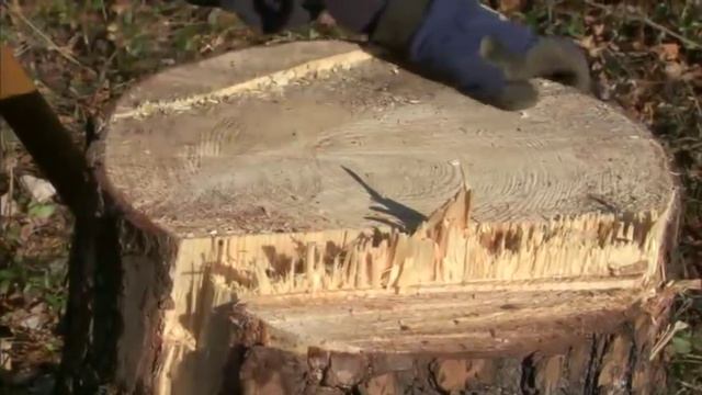 How to Safely Fell or Cut Down a Tree Using a Chainsaw | Husqvarna смотреть онлайн