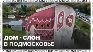 "Актуальный репортаж": дом-слон появился в Подмосковье