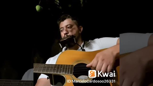 Solo Gaita e Violão - Bob Marley ( Redemption Song ) смотреть онлайн