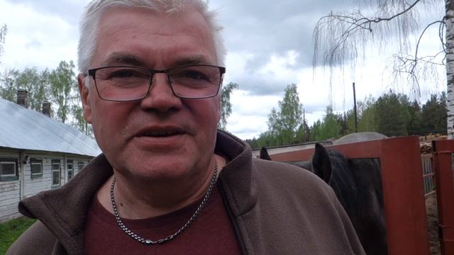 Прокатиться на тройке лошадей / Орловских рысаков разводят в Архангельской области / Экспедиция смотреть онлайн