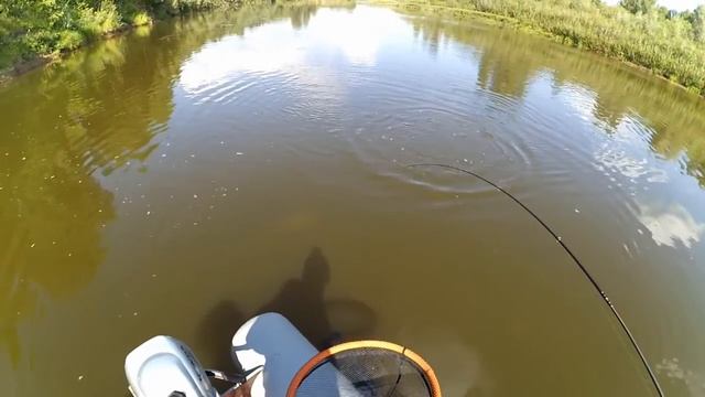 Щука и язь на воблер FishyCat ICAT 32F. Рыбалка - отцы и дети.