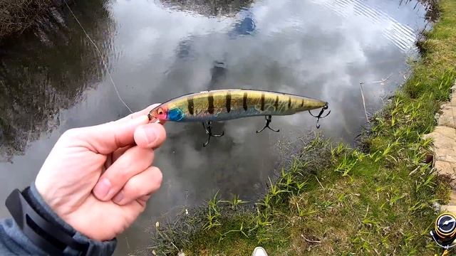 Если НУЖЕН Воблер на БОЛЬШУЮ ЩУКУ! Воблер Bearking Kanata 160F .Воблеры с Алиэкспрэсс смотреть онлайн