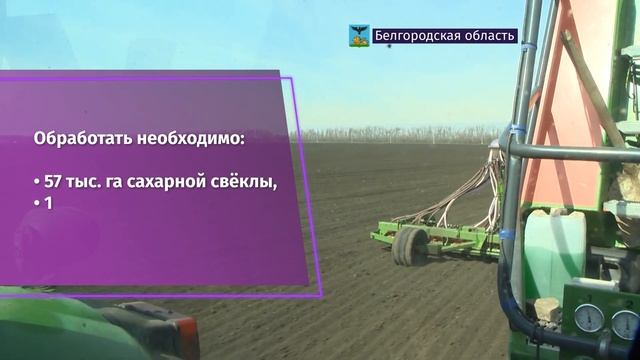 Аграрии Белгородской области приступили к севу сельскохозяйственных культур смотреть онлайн