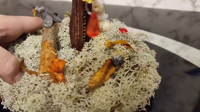 Осенняя сказка, МБДОУ №1 г.Гаджиево, группа лучики #осенняяподелка #осенняясказка #дети #семья смотреть онлайн