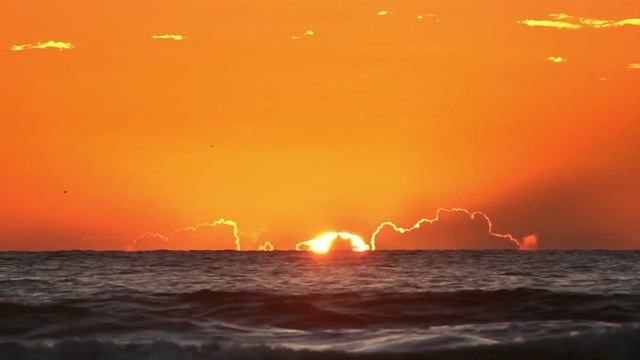 Birds. Sunset Sky. Птицы. Закат. смотреть онлайн