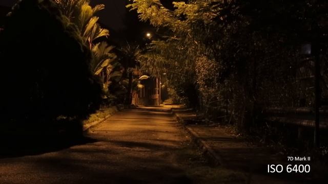 EOS 7D Mark II High ISO Video Test смотреть онлайн