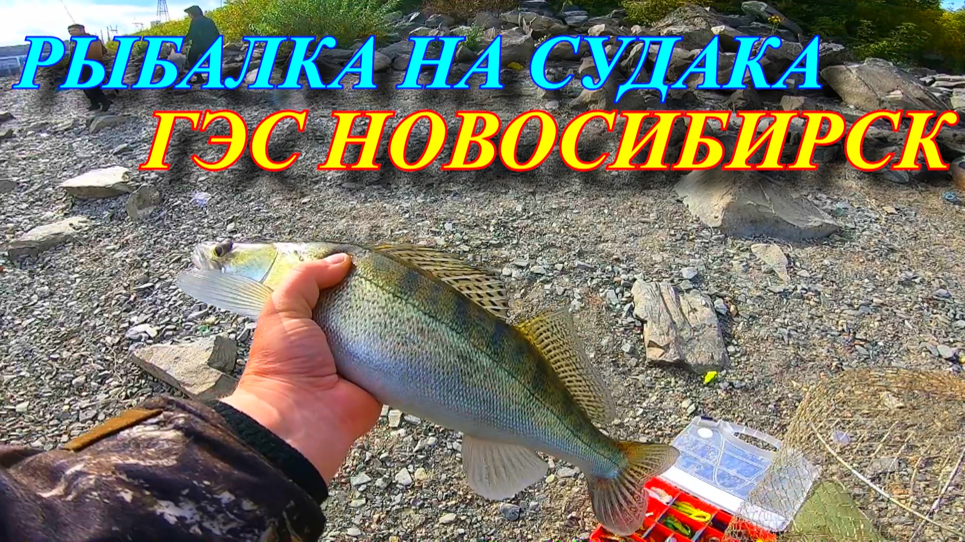 Рыбалка на судака ГЭС НОВОСИБИРСК