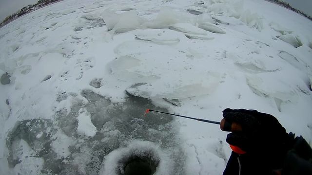Ловля на балансир, Куйбышевское водохранилище! Декабрь 23 12 2017 смотреть онлайн