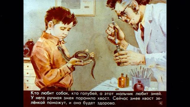 ЗВЕРИНАЯ БОЛЬНИЦА// ВЕТЕРИНАР И ЗВЕРИ//ЧУДЕСНАЯ СТРАНА//Г.СНЕГИРЁВ смотреть онлайн