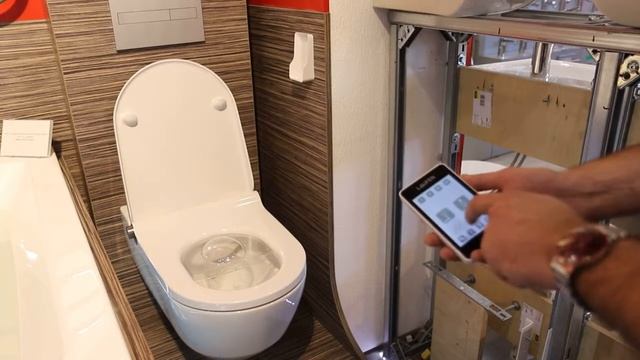 Подключенный к воде унитаз-биде Laufen Riva смотреть онлайн