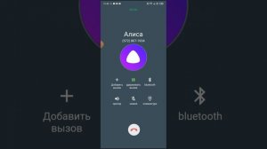 мне опять позвонила Алиса @user-ow9lu4wi9y