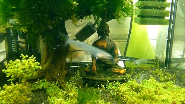 Кубик Aquael 30л смотреть онлайн