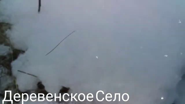 Козы,барашки и гуси.#Деревенскоесело смотреть онлайн