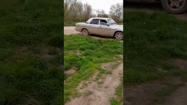 Дурманом сладким веяло. Обзор хозяйства в апреле. (3) смотреть онлайн