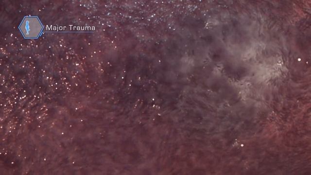 Muscle Regeneration