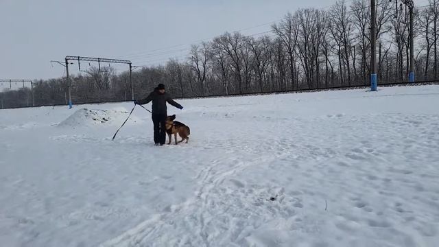 Баларис Керчь( Мичиган Примо Гранде и Баларис Мицубиси) 14 мес(3)