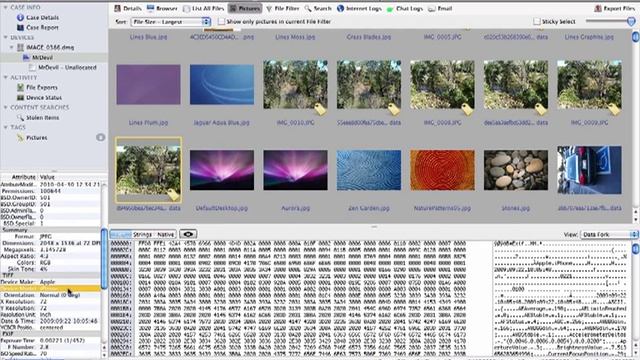 BlackLight Overview Video by BlackBag Technologies смотреть онлайн