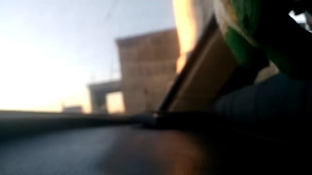 Секреты Творческого Саморазвития