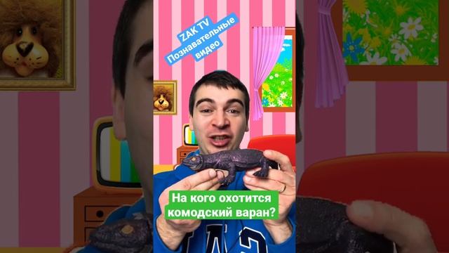 На кого охотится комодский варан? смотреть онлайн