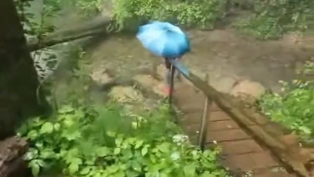 Зеленый ключ заповедника Марий Чодра смотреть онлайн