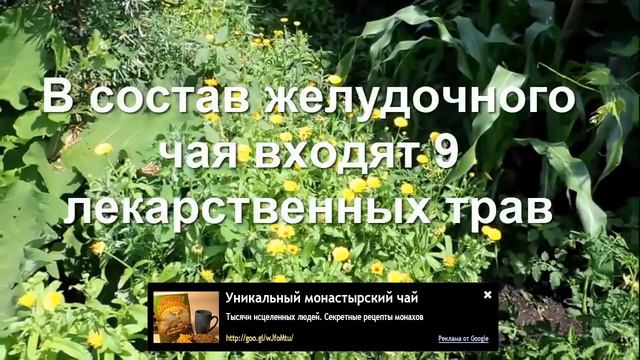 Чай монастырский купить в Минске