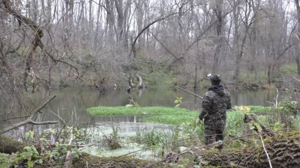 Рыбалка на поплавок в ноябре. Ловля мирной рыбы на удочку.