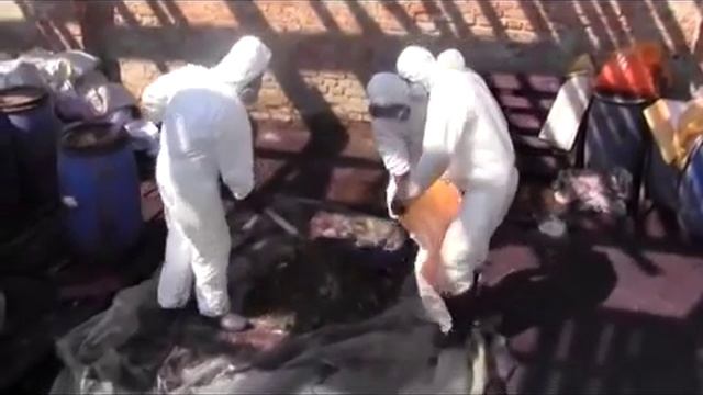 Вывоз и утилизация пестицидов НИП из Сумской области смотреть онлайн