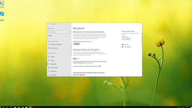 Skype Microphone Not Working - How To Fix Microphone Problem in Windows 10 [2023] смотреть онлайн