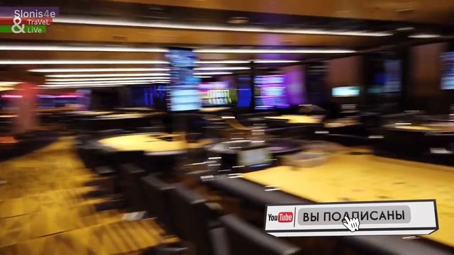 MSC Cruises Seaview и MSC Bellissima - обзор круизных лайнеров