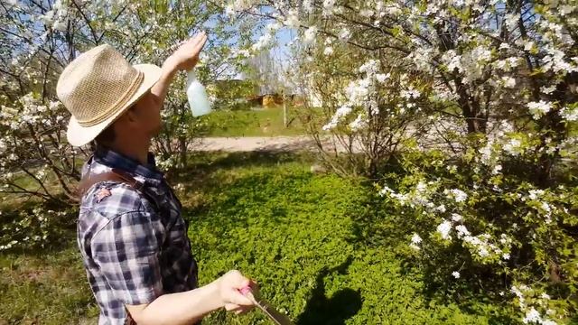 Как Круто! снимать макро? смотреть онлайн